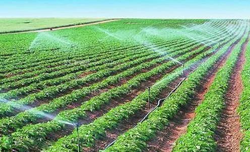内射白丝美女农田高 效节水灌溉